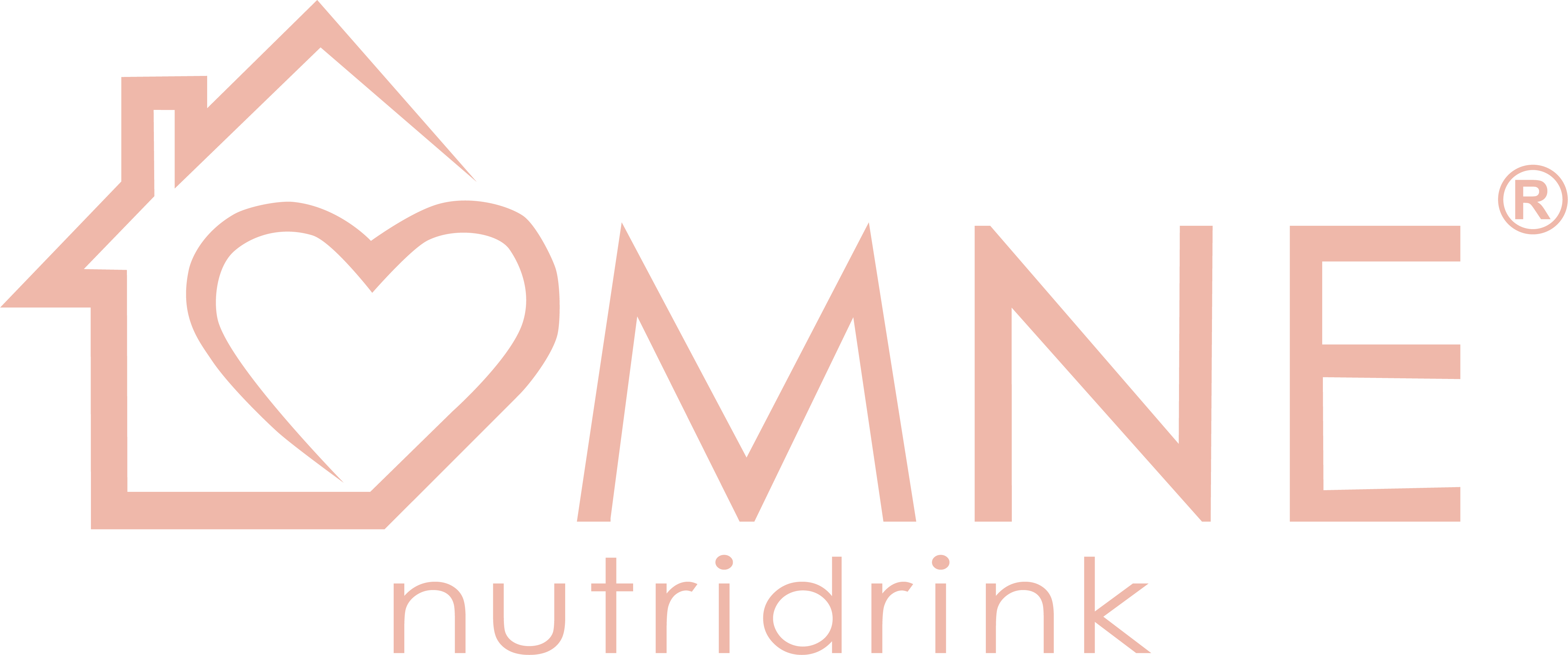 Omne Logo